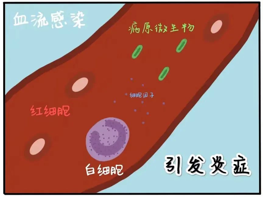 寰俊鍥剧墖_20241206155836.jpg